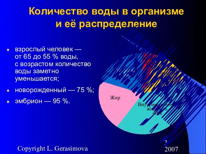 2007 Copyright L. Gerasimova Количество воды в организме и её