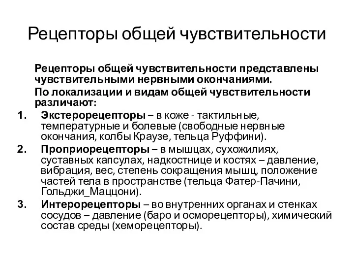 Рецепторы общей чувствительности Рецепторы общей чувствительности представлены чувствительными нервными окончаниями.