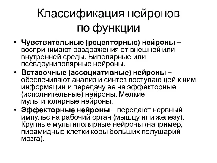 Классификация нейронов по функции Чувствительные (рецепторные) нейроны – воспринимают раздражения