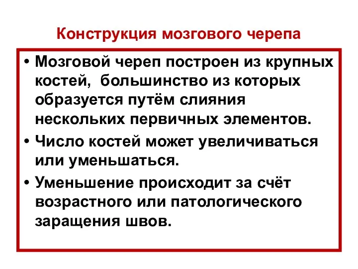 Конструкция мозгового черепа Мозговой череп построен из крупных костей, большинство