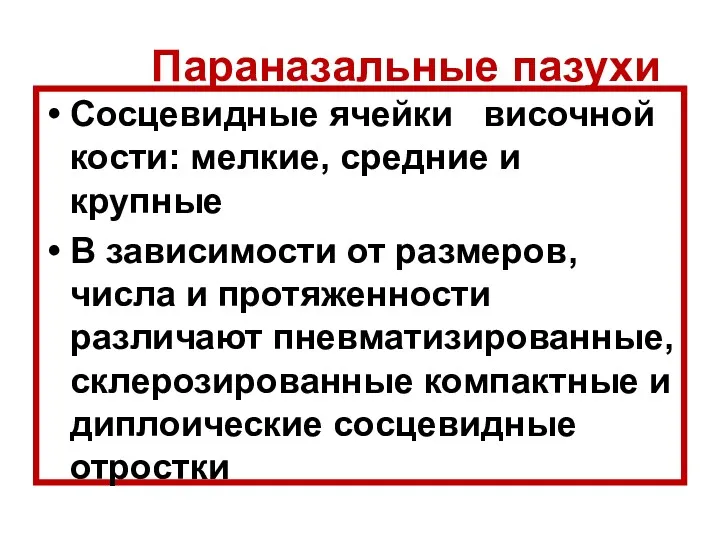 Параназальные пазухи Сосцевидные ячейки височной кости: мелкие, средние и крупные