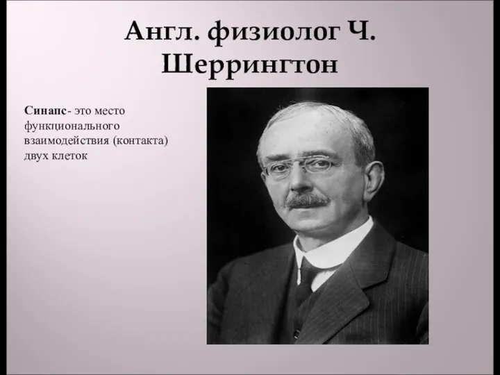 Англ. физиолог Ч.Шеррингтон Синапс- это место функционального взаимодействия (контакта) двух клеток