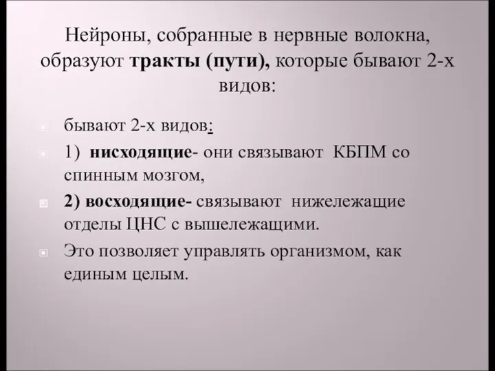 Нейроны, собранные в нервные волокна, образуют тракты (пути), которые бывают