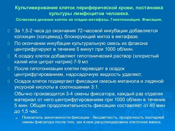 Культивирование клеток периферической крови, постановка культуры лимфоцитов человека. Остановка деления