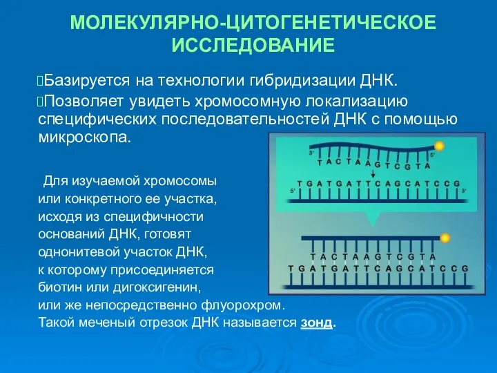 МОЛЕКУЛЯРНО-ЦИТОГЕНЕТИЧЕСКОЕ ИССЛЕДОВАНИЕ Базируется на технологии гибридизации ДНК. Позволяет увидеть хромосомную