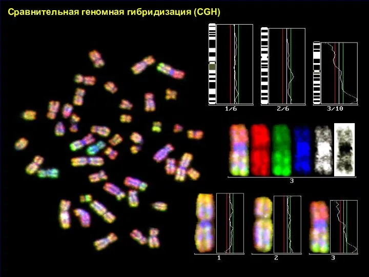Сравнительная геномная гибридизация (CGH)