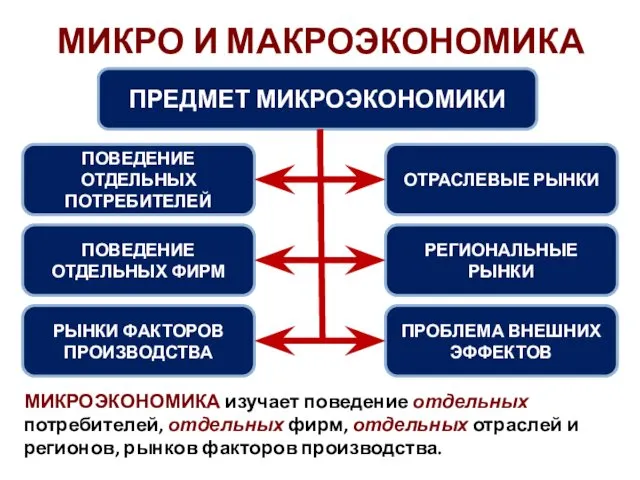 МИКРО И МАКРОЭКОНОМИКА ПРЕДМЕТ МИКРОЭКОНОМИКИ ПОВЕДЕНИЕ ОТДЕЛЬНЫХ ПОТРЕБИТЕЛЕЙ ПОВЕДЕНИЕ ОТДЕЛЬНЫХ