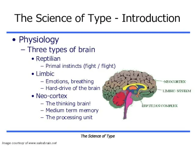 The Science of Type The Science of Type - Introduction