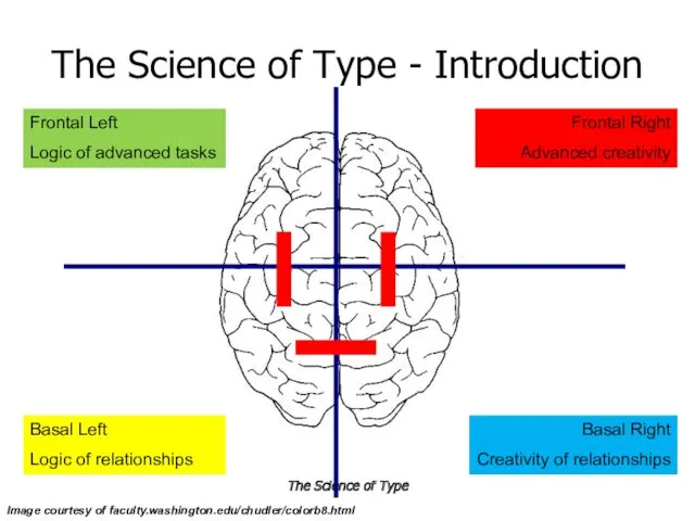 The Science of Type The Science of Type - Introduction Image courtesy of
