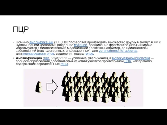 ПЦР Помимо амплификации ДНК, ПЦР позволяет производить множество других манипуляций с нуклеиновыми кислотами