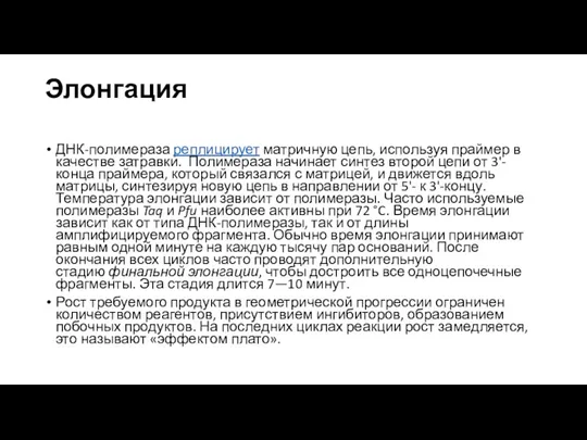 Элонгация ДНК-полимераза реплицирует матричную цепь, используя праймер в качестве затравки. Полимераза начинает синтез