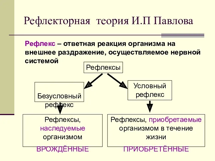 Рефлекторная теория И.П Павлова Рефлекс – ответная реакция организма на