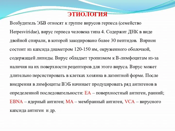 ЭТИОЛОГИЯ Возбудитель ЭБВ относят к группе вирусов герпеса (семейство Herpesviridae),