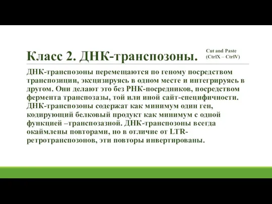 Класс 2. ДНК-транспозоны. ДНК-транспозоны перемещаются по геному посредством транспозиции, эксцизируясь в одном месте