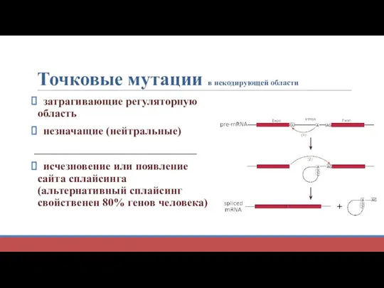 затрагивающие регуляторную область незначащие (нейтральные) _____________________________ исчезновение или появление сайта