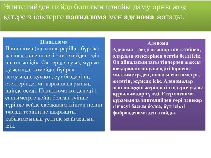 Эпителийден пайда болатын арнайы даму орны жоқ қатерсіз ісіктерге папиллома