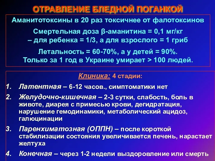 ОТРАВЛЕНИЕ БЛЕДНОЙ ПОГАНКОЙ Аманитотоксины в 20 раз токсичнее от фалотоксинов