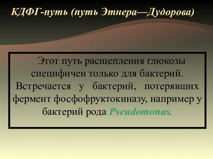 КДФГ-путь (путь Этнера—Дудорова) Этот путь расщепления глюкозы специфичен только для