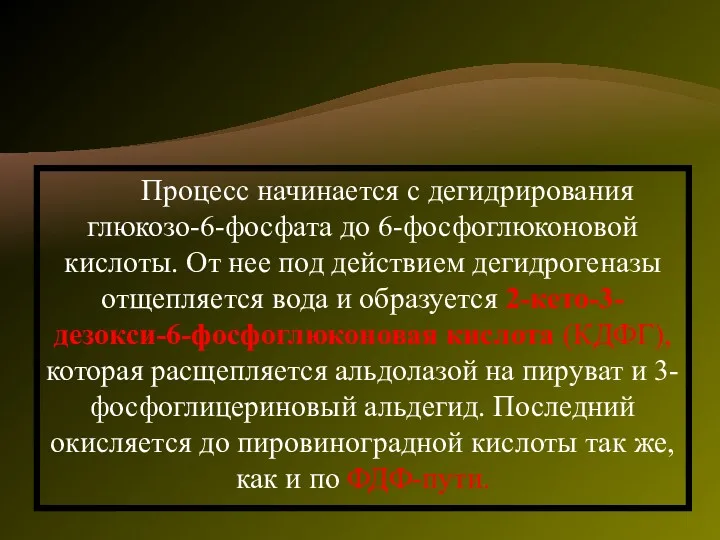 Процесс начинается с дегидрирования глюкозо-6-фосфата до 6-фосфоглюконовой кислоты. От нее