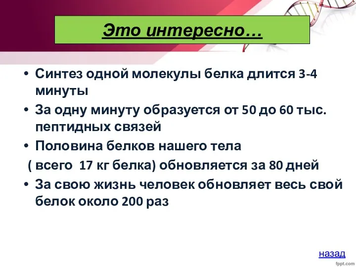 Это интересно… Синтез одной молекулы белка длится 3-4 минуты За