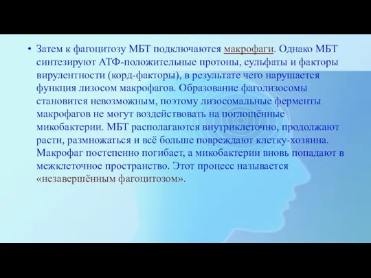 Затем к фагоцитозу МБТ подключаются макрофаги. Однако МБТ синтезируют АТФ-положительные