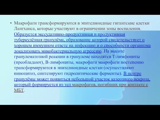 Макрофаги трансформируются в эпителиоидные гигантские клетки Лангханса, которые участвуют в