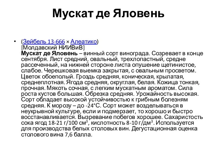 Мускат де Яловень (Зейбель 13-666 × Алеатико) [Молдавский НИИВиВ] Мускат де Яловень –