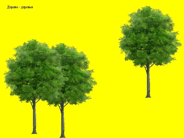 Дерево - деревья