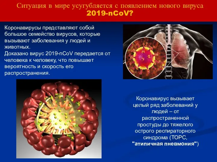 Ситуация в мире усугубляется с появлением нового вируса 2019-nCoV? Коронавирусы