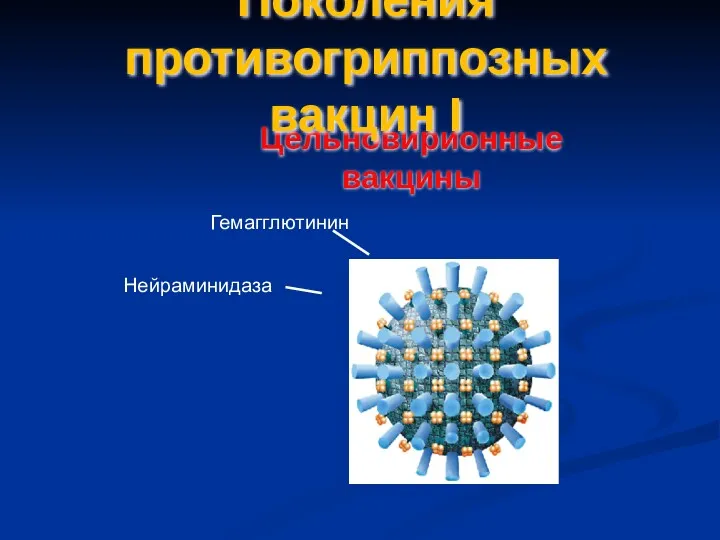 Цельновирионные вакцины Гемагглютинин Нейраминидаза Поколения противогриппозных вакцин I