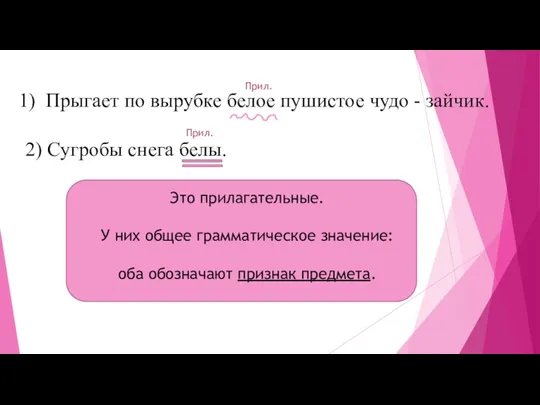 Это прилагательные. У них общее грамматическое значение: оба обозначают признак