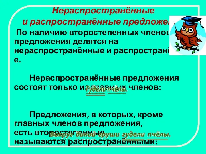 Нераспространённые и распространённые предложения По наличию второстепенных членов предложения делятся