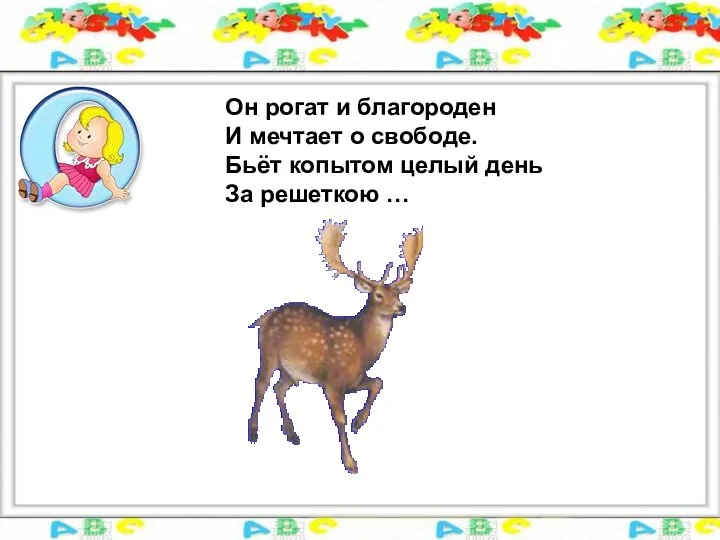 Он рогат и благороден И мечтает о свободе. Бьёт копытом