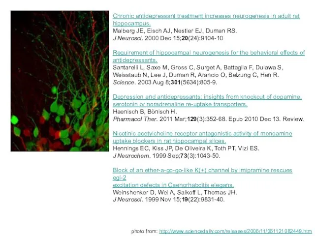 Chronic antidepressant treatment increases neurogenesis in adult rat hippocampus. Malberg