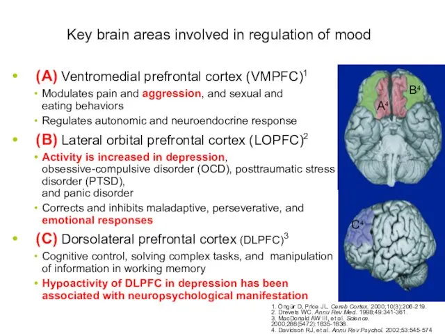 Key brain areas involved in regulation of mood (A) Ventromedial