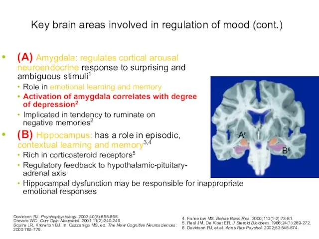 Key brain areas involved in regulation of mood (cont.) (A)