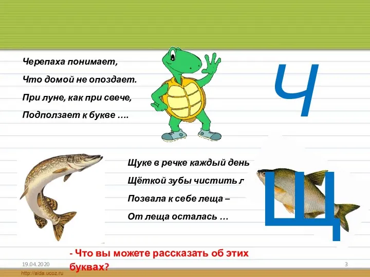 19.04.2020 Черепаха понимает, Что домой не опоздает. При луне, как