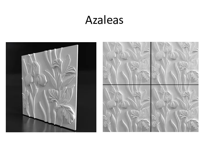 Azaleas