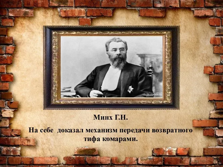 Минх Г.Н. На себе доказал механизм передачи возвратного тифа комарами.