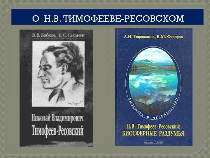 О Н.В. ТИМОФЕЕВЕ-РЕСОВСКОМ