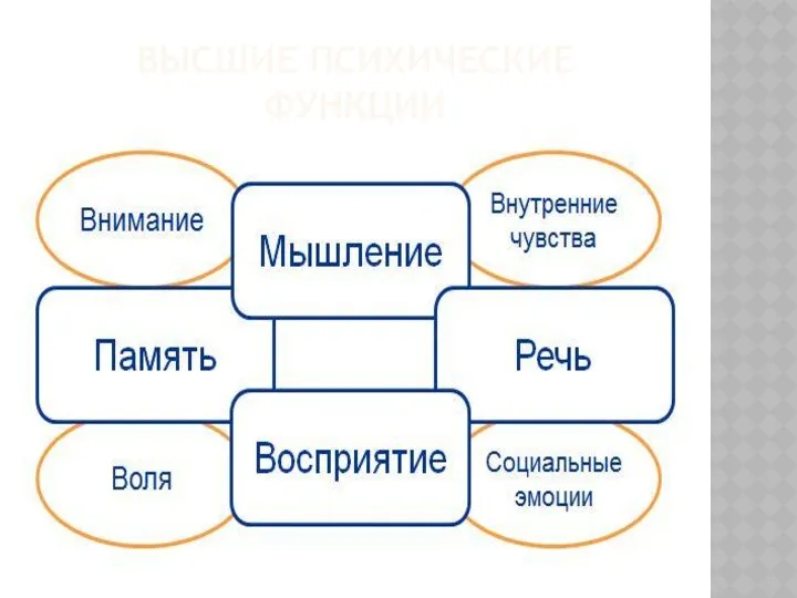 ВЫСШИЕ ПСИХИЧЕСКИЕ ФУНКЦИИ