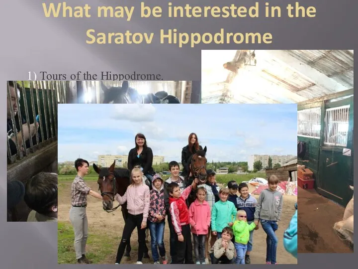 What may be interested in the Saratov Hippodrome 1) Tours