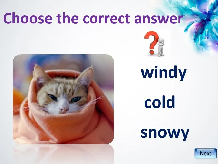 windy snowy cold Choose the correct answer