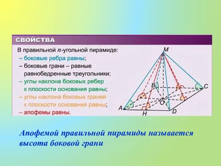 Апофемой правильной пирамиды называется высота боковой грани