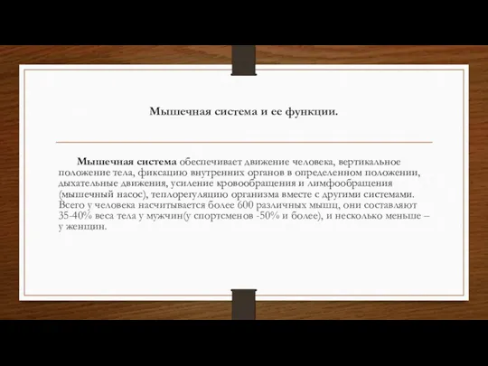 Мышечная система и ее функции. Мышечная система обеспечивает движение человека,