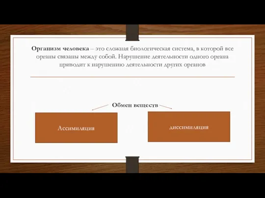 Организм человека – это сложная биологическая система, в которой все