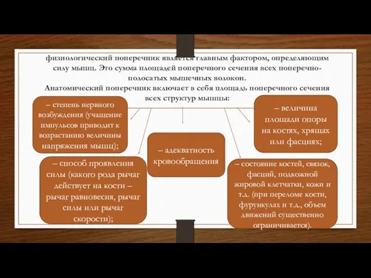 физиологический поперечник является главным фактором, определяющим силу мышц. Это сумма