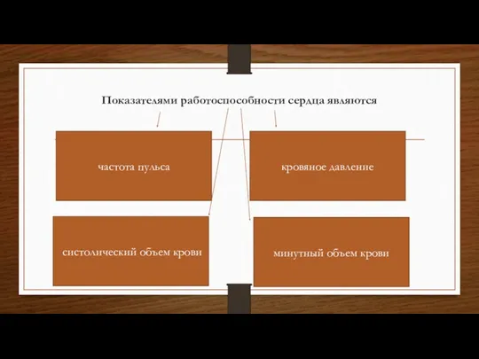 Показателями работоспособности сердца являются систолический объем крови минутный объем крови частота пульса кровяное давление