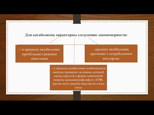 Для катаболизма характерны следующие закономерности: – в процессе катаболизма преобладают