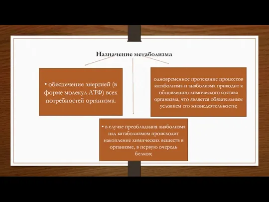 Назначение метаболизма одновременное протекание процессов катаболизма и анаболизма приводит к